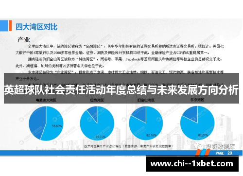 英超球队社会责任活动年度总结与未来发展方向分析 英超球队社会责任活动年度总结与未来发展方向分析