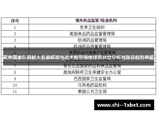 聚焦国家队最新大名单解读与战术前景指南球员状态分析与阵容趋势展望